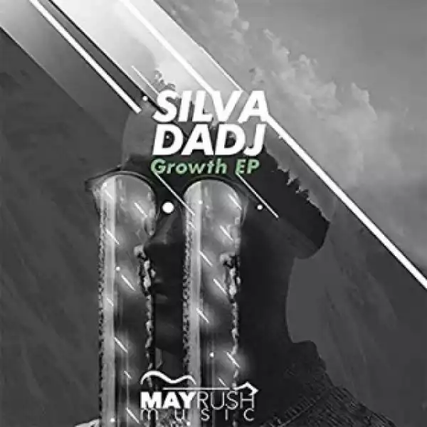 Silva DaDJ - Space & Organ (Original Mix)